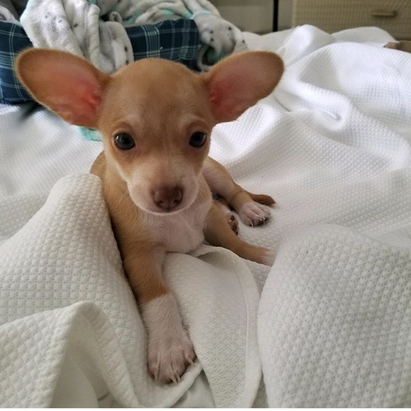 Meet your Posher Ambassador, Darcy - Picture 7 of 8